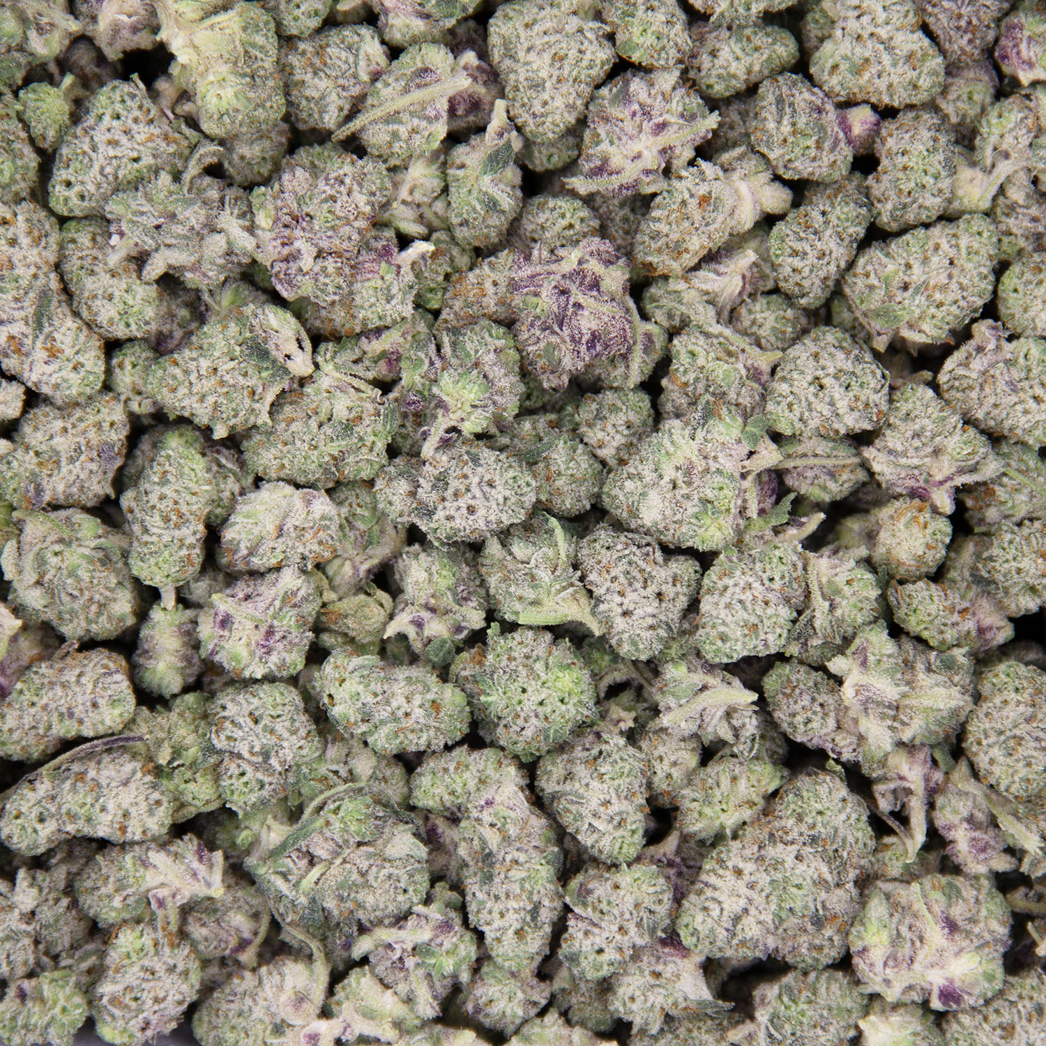 Oreo Blizzy (popcorn) AAA - Image 3