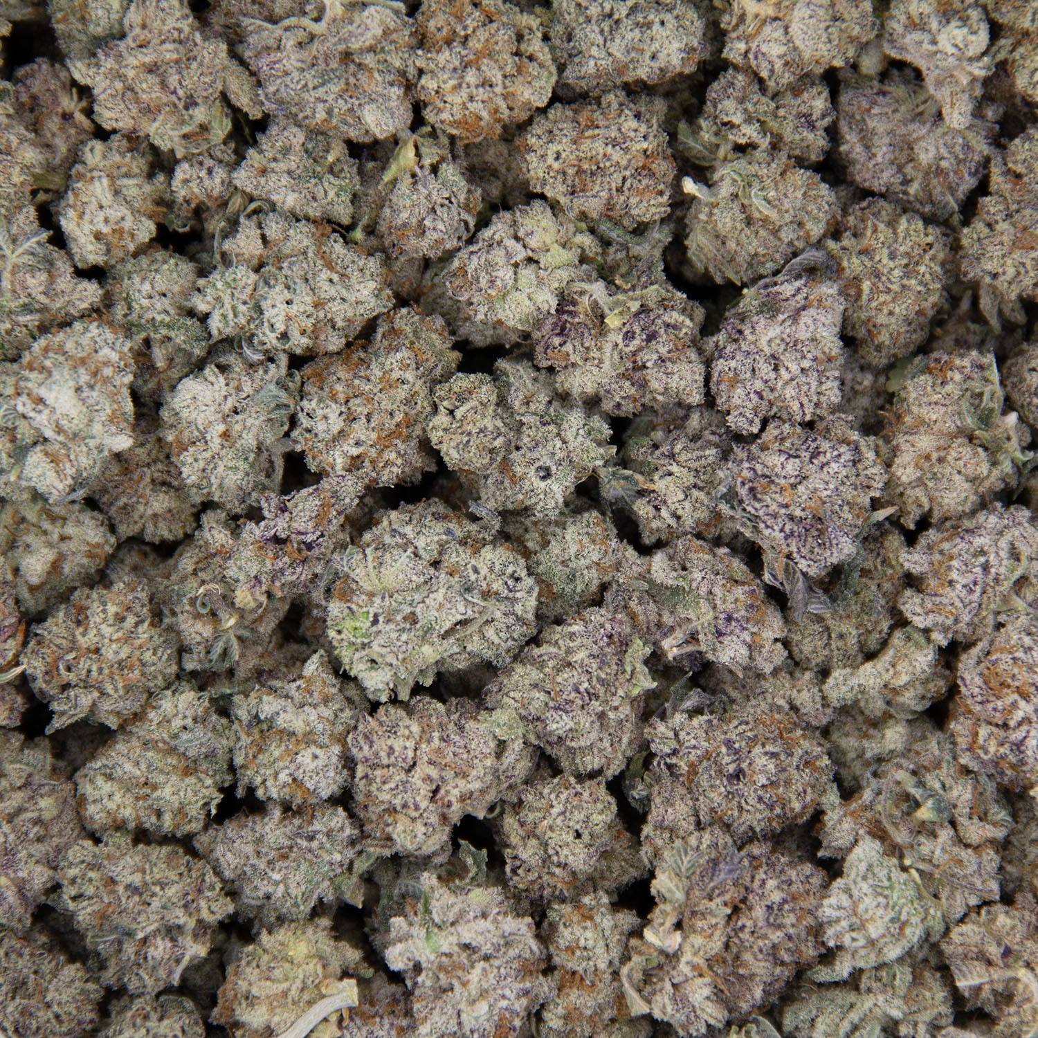 Mendo Breath (popcorn) AAA - Image 3