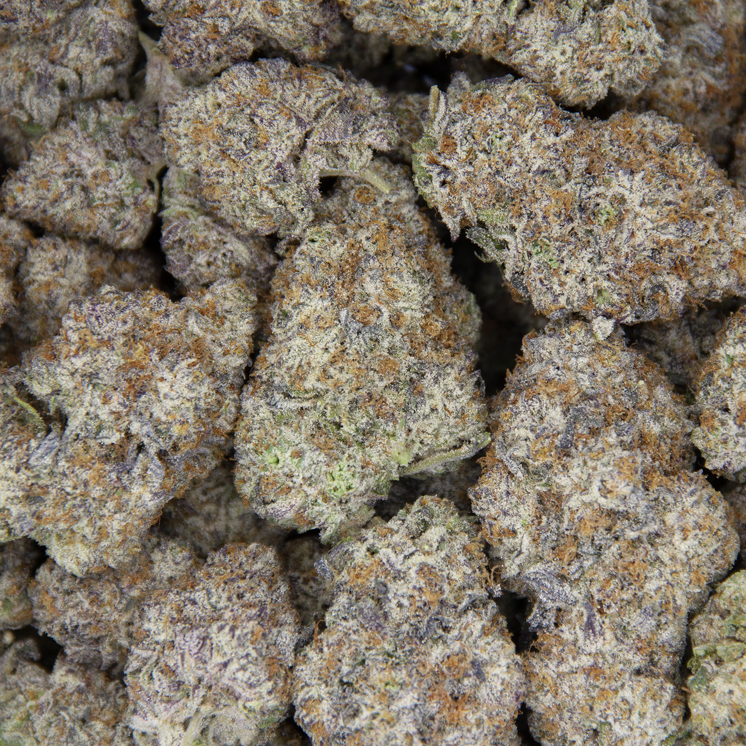 Snowcone AAAA+ - Image 3