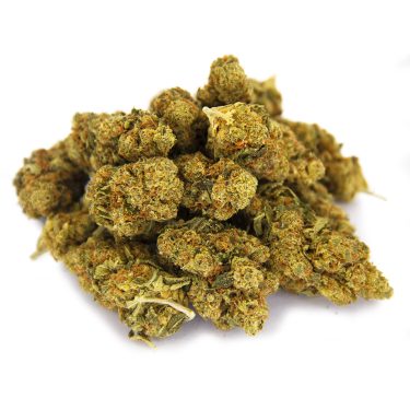 Jillybean (mediums) AA