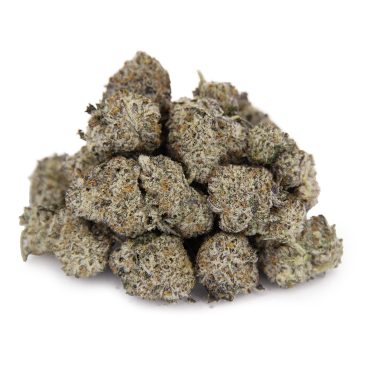 Polar Pop (mediums) AAAA