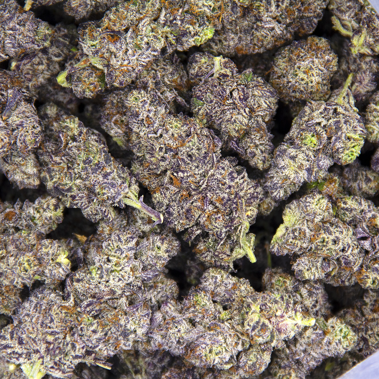 Purple Haze AAAA - Image 2