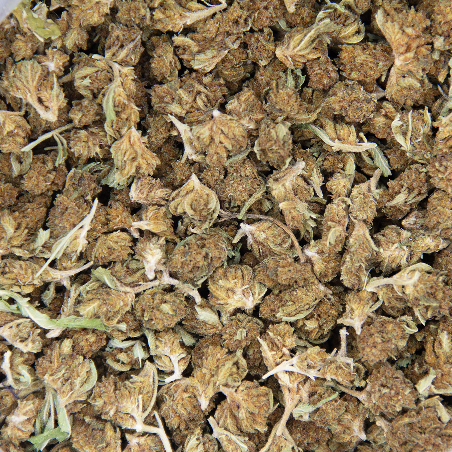 Woody OG (Popcorn) AA- - Image 3