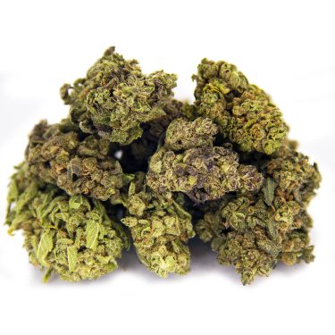 Acai Berry Gelato AA-