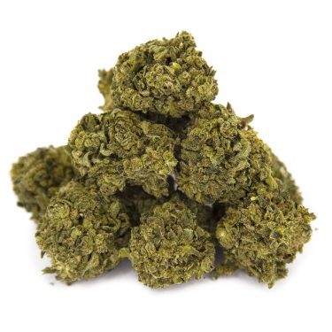 Lemon Skunk AA