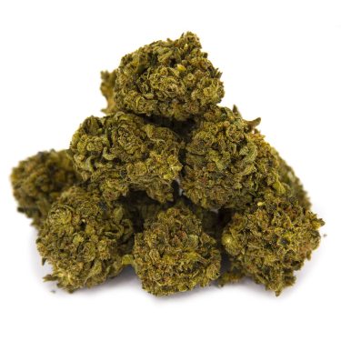 Lemon Skunk AA