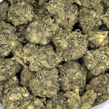 Alternative view of Lemon Skunk AA