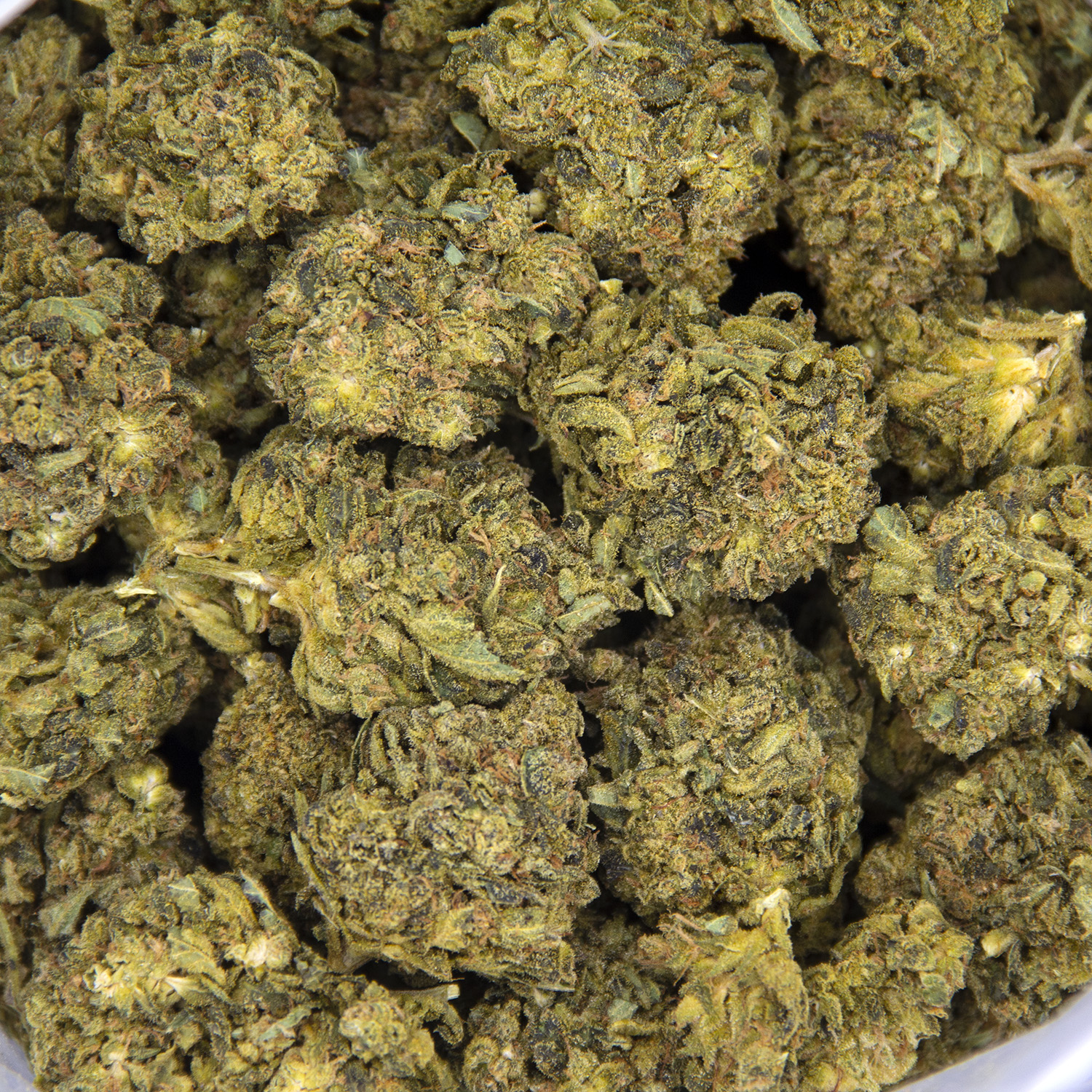 Lemon Skunk AA - Image 2