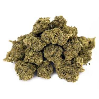 Orange Bud (mediums) AA