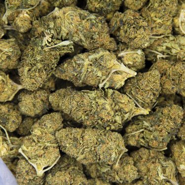 Alternative view of Sour Cheese AA