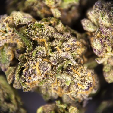 Alternative view of Blue Cheese (smalls) AAA-