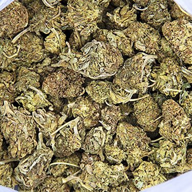 Alternative view of Lemon Kush AA-