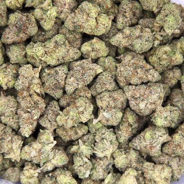 Alternative view of Lindsay OG (mediums) AAA