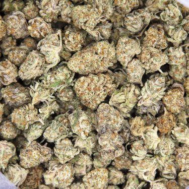 Alternative view of Pineapple Express (smalls) AAA-