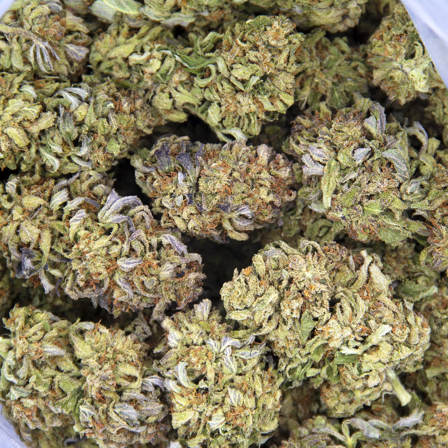 Apricot Haze AA - Image 2
