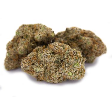 Gelato #33 AAA+