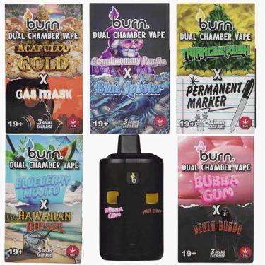 Burn - Dual Chamber Disposable Vapes (3+3 Grams)