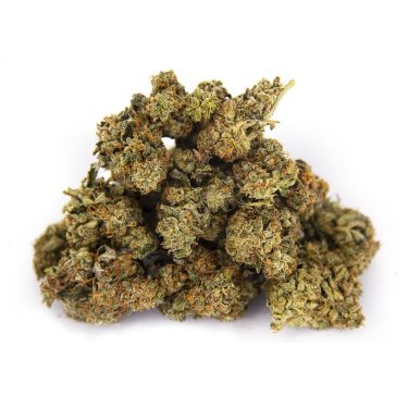 Dr. Bubba (smalls) AA