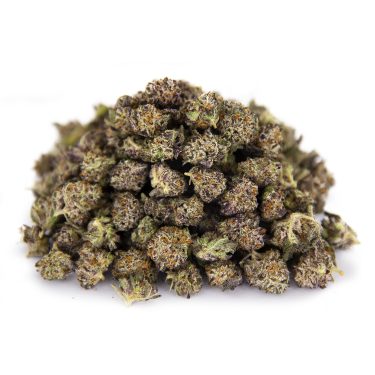 Blackberry Gary (popcorn) AAA