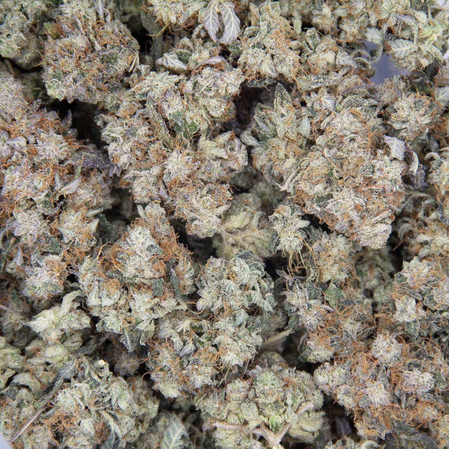 Bubba Kush AAA- - Image 3