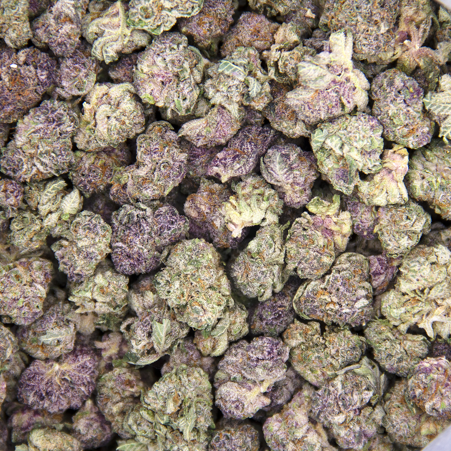 Cherry Haze (smalls) AAA - Image 3