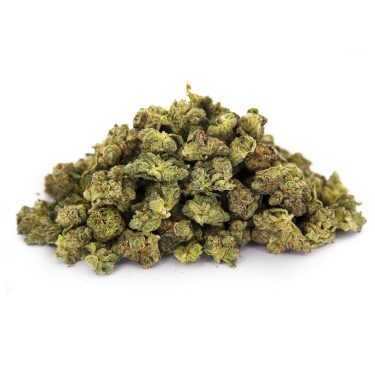 King Tut (smalls) AA+