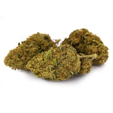 Citrus Haze AA