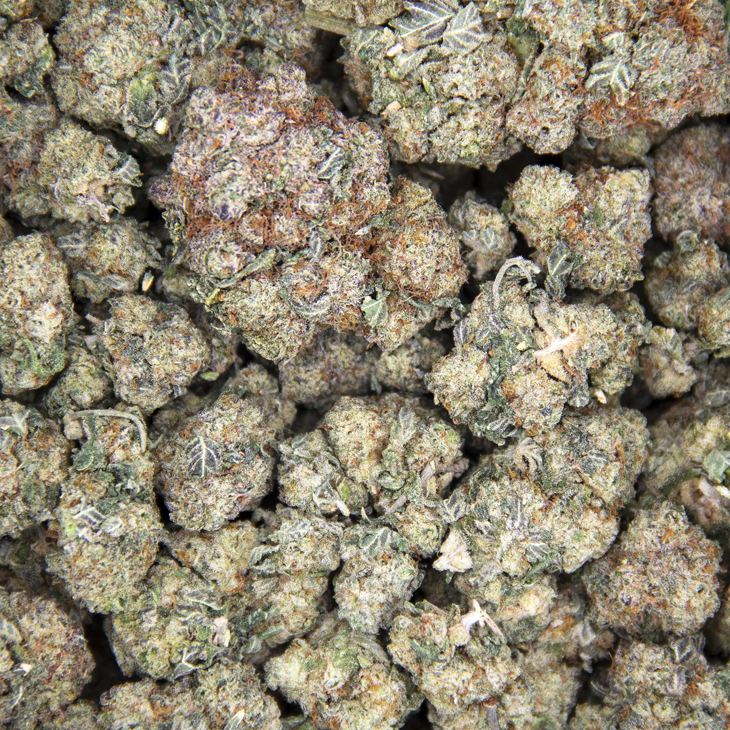 Wedding Cake (mediums) AAA - Image 3